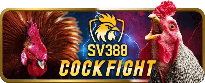 Hình ảnh đại diện cho phần câu hỏi thường gặp của u888 win